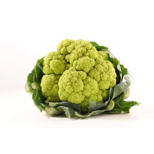 BRÒQUIL VERD - Unitat